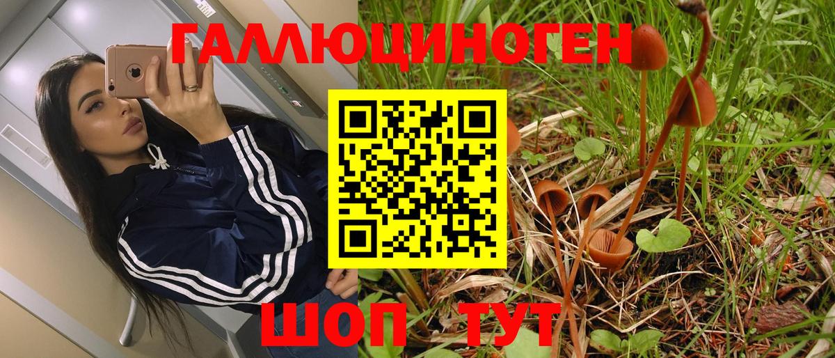 Псилоцибиновые грибы прущие грибы Александров